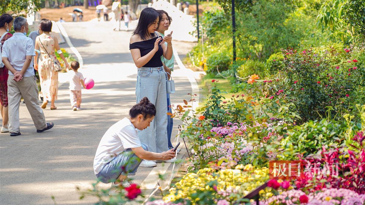 威尼斯人官方